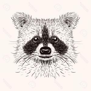 Raccoon Face Logo - Sketch Panda Face With Mustache In A Reindeer Vector