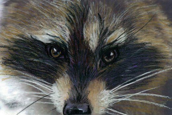Raccoon Face Logo - Rascal Prismacolor Painting of a Raccoon Face Prints and
