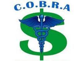 Cobra Insurance Logo - COBRA Services - PBA, Inc.