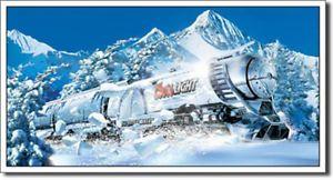 Coors Train Logo - Coors Light Silver Bullet Train Rocky Mountain Vintage Beer Alcohol ...