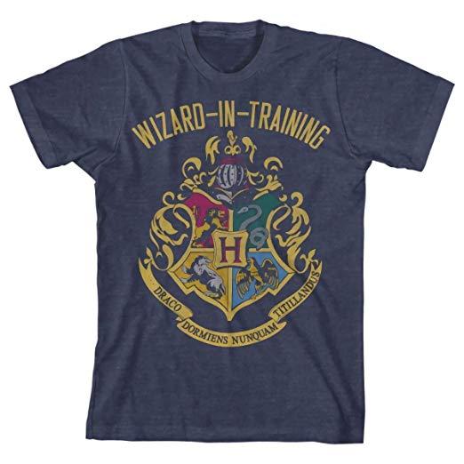 Big Harry Potter HP Logo - Harry Potter Boys Wizard In Training Tee: Clothing