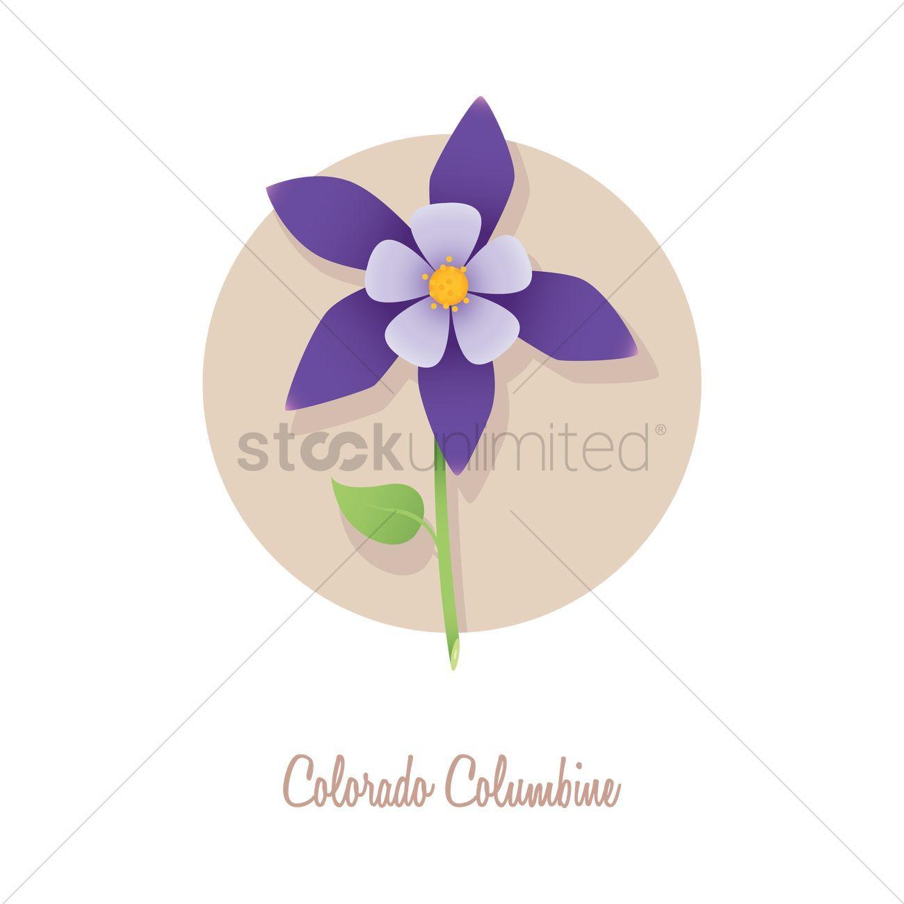 Columbine Flower Logo - Colorado columbine Vector Image - 1322677 | StockUnlimited