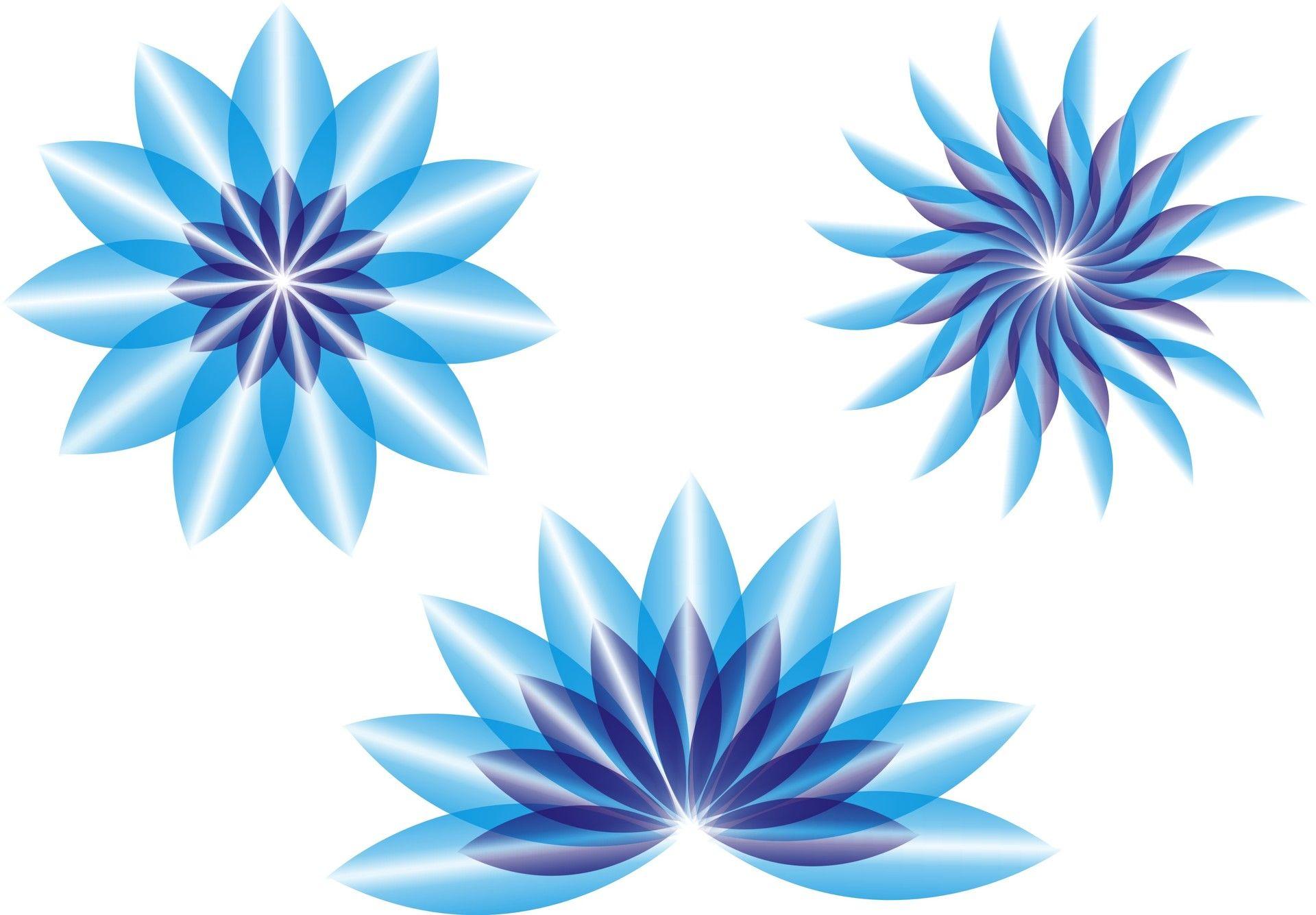 Ice Flower Logo - Michał Szopa - Logo Design