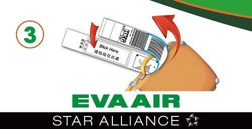 Eva Air Logo - Self Check In (Kiosk)