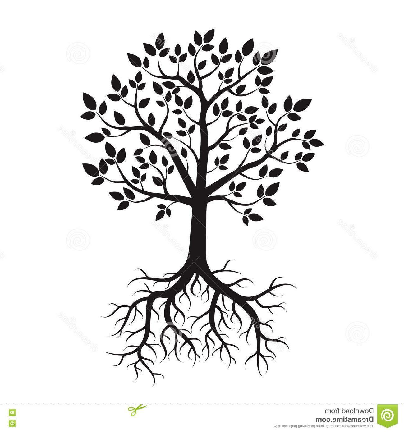 Black and White Tree with Roots Logo - Top 10 Black Tree Roots Vector Illustration Nature Image