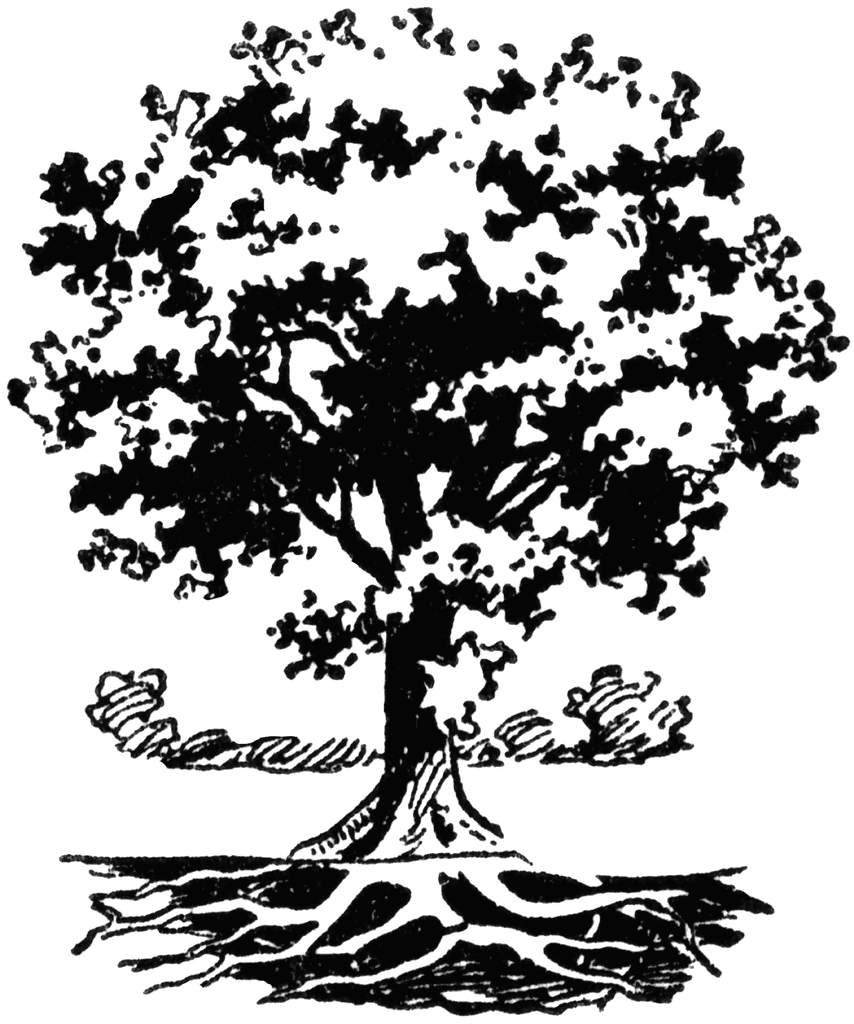 Black and White Tree with Roots Logo - Tree Clip Art | Tree with Roots | Logo images | Art, Tree logos ...