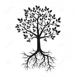 Black and White Tree with Roots Logo - Stock Illustration Color Tree Roots Vector Illustration Graphic ...