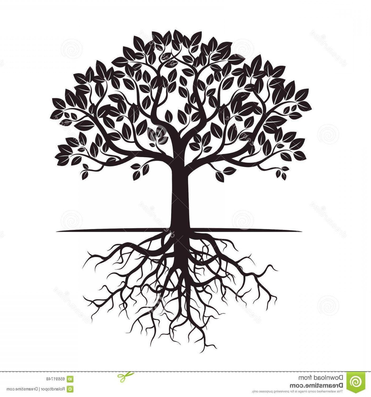 Black Tree with Roots Logo - Stock Illustration Black Tree Roots Vector Illustration Graphic