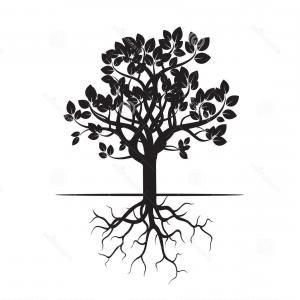 Black Tree with Roots Logo - Photostock Vector Black Tree And Roots Vector Illustration | LaztTweet