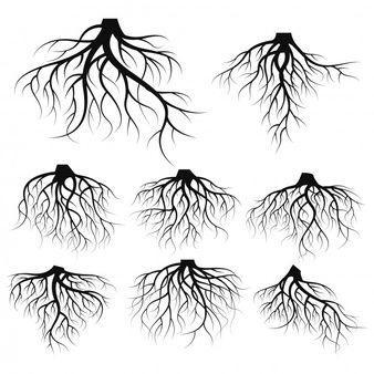 Black Tree with Roots Logo - Root Vectors, Photos and PSD files | Free Download