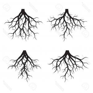 Black Tree with Roots Logo - Photostock Vector Set Of Black Tree Roots Vector Illustration