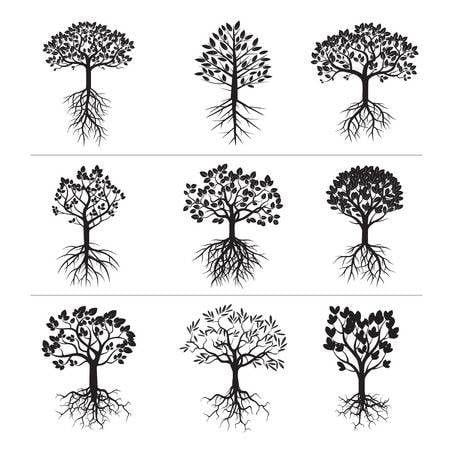 Black Tree with Roots Logo - Stock Vector Set Of Black Trees And Roots Jpg Ver 6 With