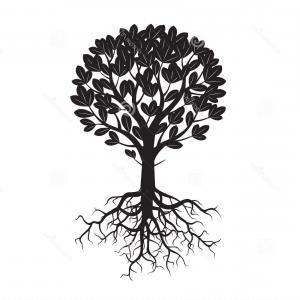 Black Tree with Roots Logo - Oak Tree Root Silhouette Clipart Logo