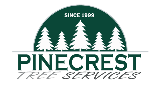 Pine Tree Company Logo - Pinecrest Tree Services. Philadelphia Tree Care Company