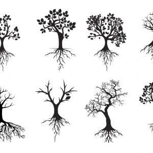 Black Tree with Roots Logo - Stock Illustration Black Tree Roots Vector Illustration Nature Image