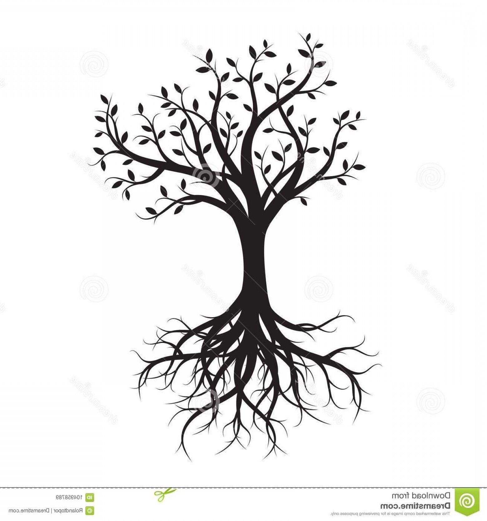 Black Tree with Roots Logo - Vector Tree With Roots Drawing