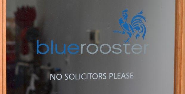 Companies with a Blue Rooster Logo - After Rough Period, Seattle Based Blue Rooster Sees 'nice Exit'
