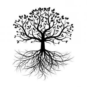 Black Tree with Roots Logo - Old Oak Tree Illustration Gm