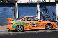 Orange and Green Car Logo - 719 Best Orange and Green images | Fluffy animals, Adorable animals ...