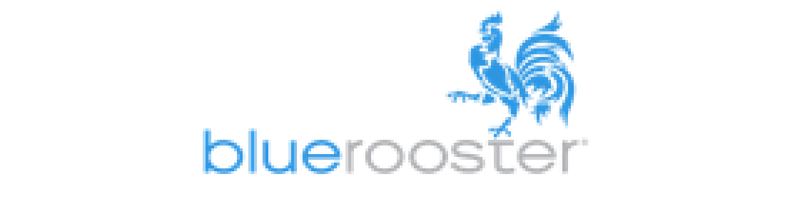 Companies with a Blue Rooster Logo - Blue Rooster Arnold Group