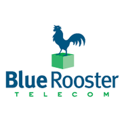 Companies with a Blue Rooster Logo - Blue Rooster Telecom Service Providers S Higuera