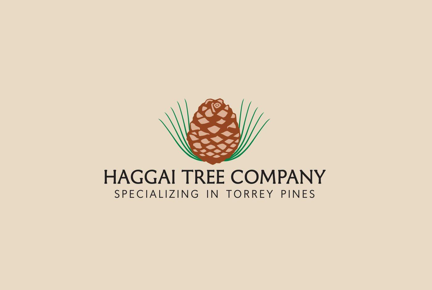Pine Tree Company Logo - Haggai Tree Company logo