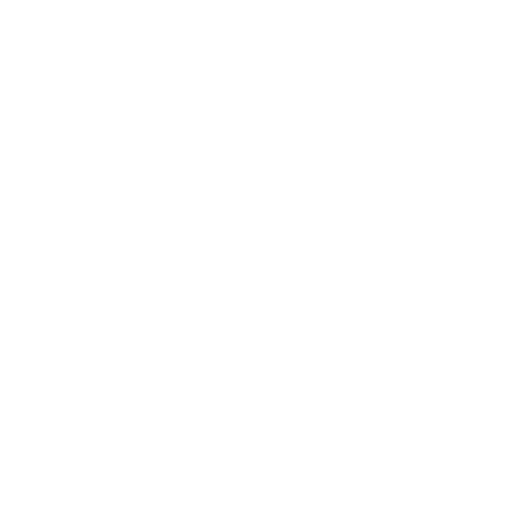 White WiFi Logo - Florence