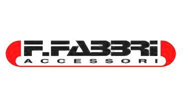 Daytona 675 Logo - Fabbri Windscreen T096B