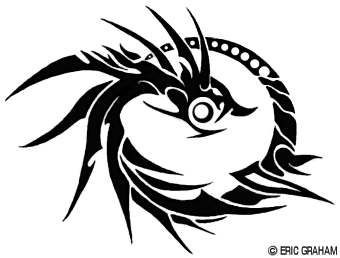 Dark Dragon Logo - dark dragon logo - Kleo.wagenaardentistry.com