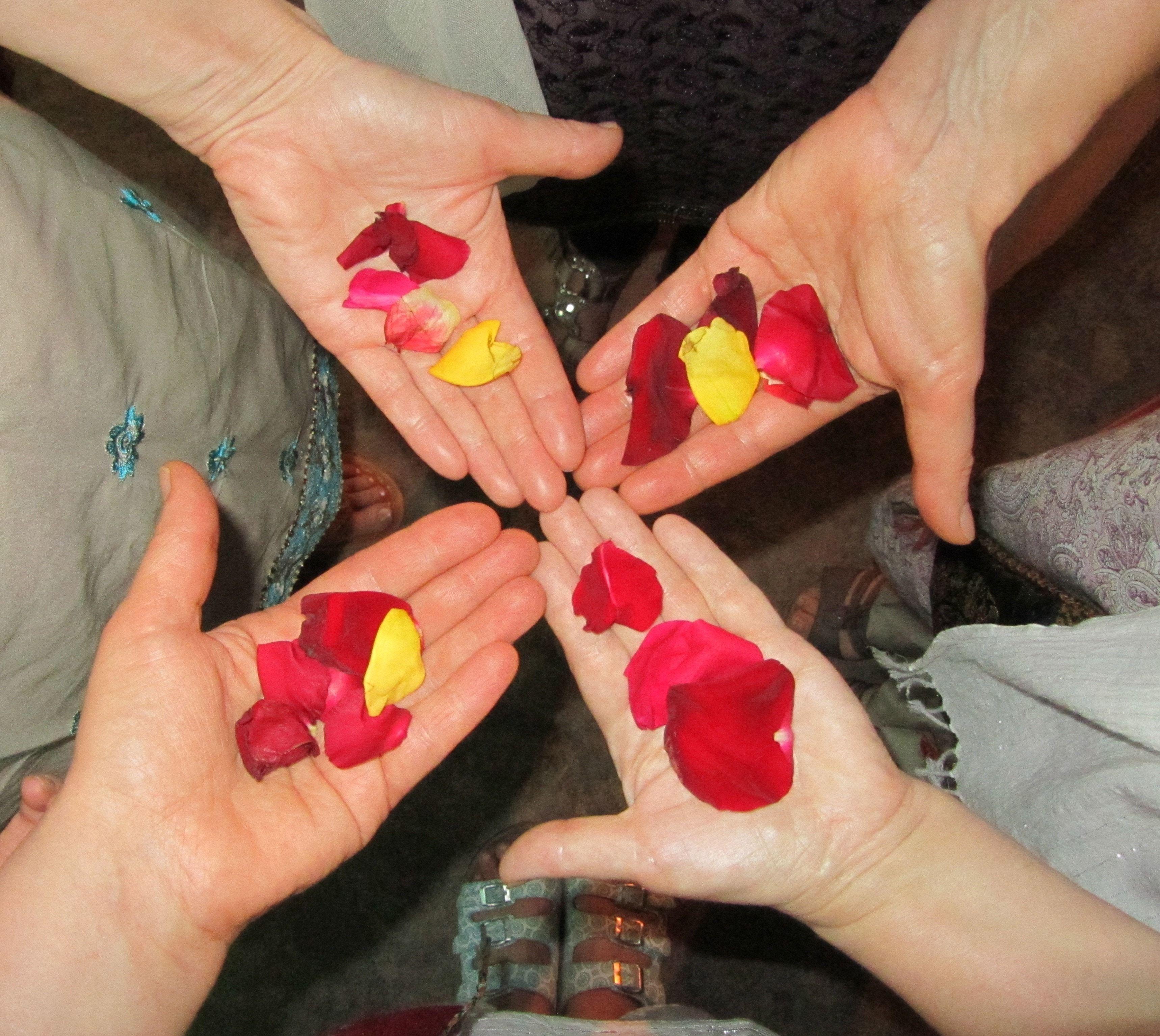 Yellow Person Holding Sun Logo - four person holding red and yellow rose petals free image