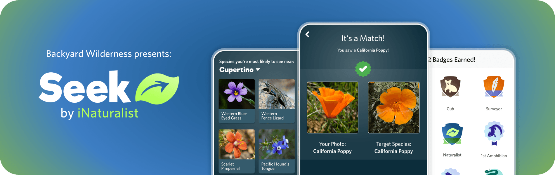 I Seek You Flower Logo - Seek App · iNaturalist.org