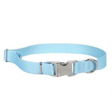 Light Blue Dog Logo - Sterling Solid Light Blue Dog Collar Dog Collars