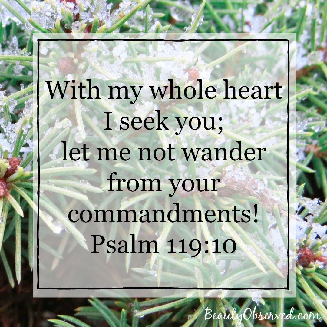 I Seek You Flower Logo - With my whole heart I seek you; let me not wander from your ...