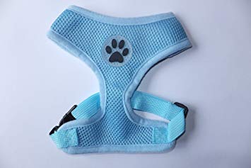 Light Blue Dog Logo - Soft Air Mesh Padded Dog Harness -Light Blue - Sizes Small Medium ...