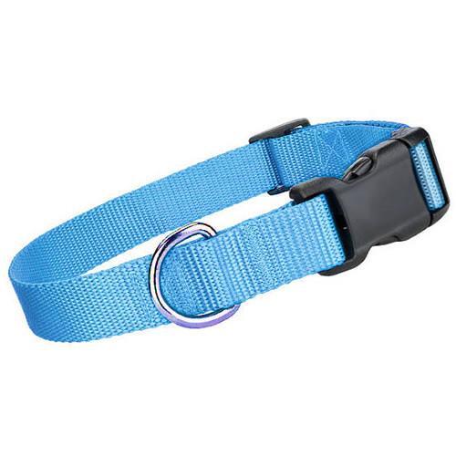 Light Blue Dog Logo - Blue Collar For Small Dogs. Blue Dog Collar