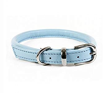 Light Blue Dog Logo - Rolled Leather Dog Collar Blue (48cm): Amazon.co.uk: Pet