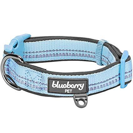 Light Blue Dog Logo - Amazon.com : Blueberry Pet 6 Colors Soft & Comfy 3M Reflective ...