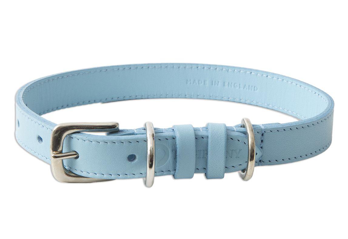 Light Blue Dog Logo - Kensington Leather Dog Collar - Light Blue | Tagiffany