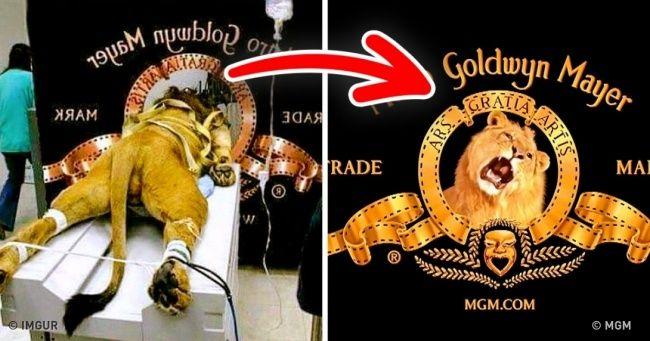 12 Logo - Astonishing Facts About Famous Logos You Didn't Know