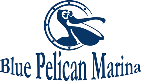 Blue Pelican Logo - Conditions