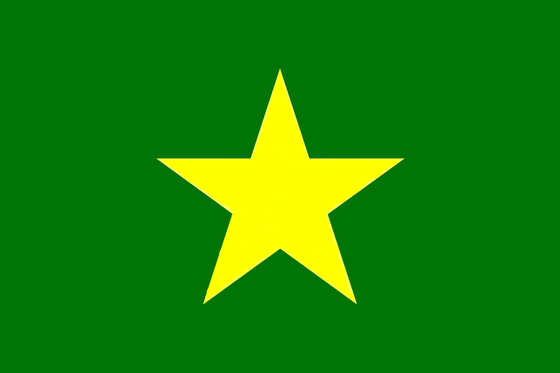 Green and Yellow Star Logo - File:Yellow star on green.png