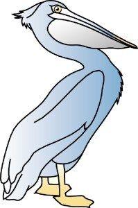 Blue Pelican Logo - The Blue Pelican – Ellsworth Farmers Exchange