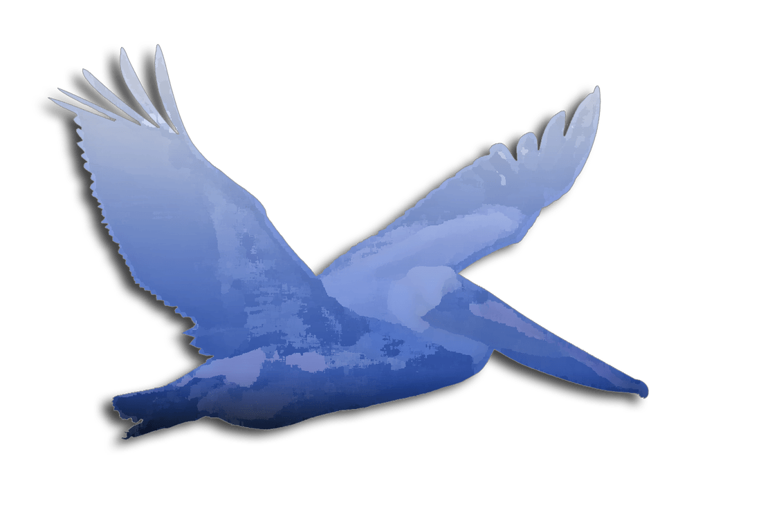 Blue Pelican Logo - Contact PELICAN PHOTOGRAPHY