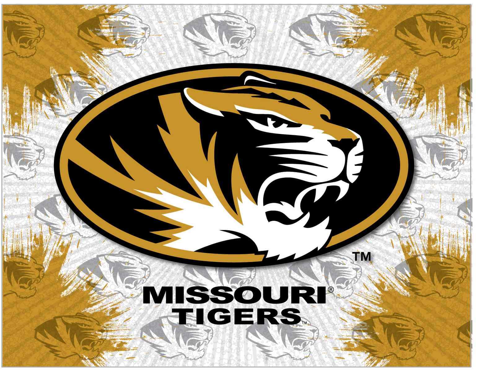 Missouri Logo - University of Missouri Canvas - Tigers Logo Default Title