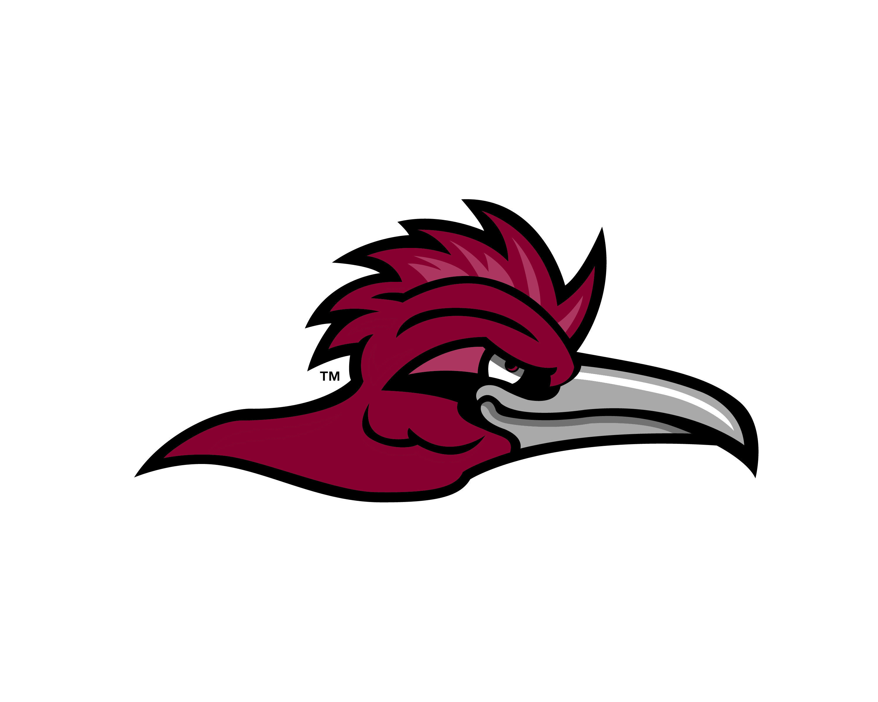 Roadrunner Bird Logo - Logo / Template Downloads - Design Standard || Ramapo College of New ...