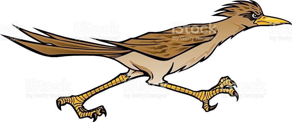 Roadrunner Bird Logo - Pin by Stephen Davis on roadrunners | Road runner, Art reference ...