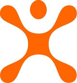 Companies with Orange Logo - Task 1 - Grade 10 Mathematics Project