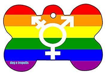 Rainbow Triangle Circle Logo - Amazon.com : LGBT Rainbow Equality Equal Triangle Sign Symbol Pet ID ...