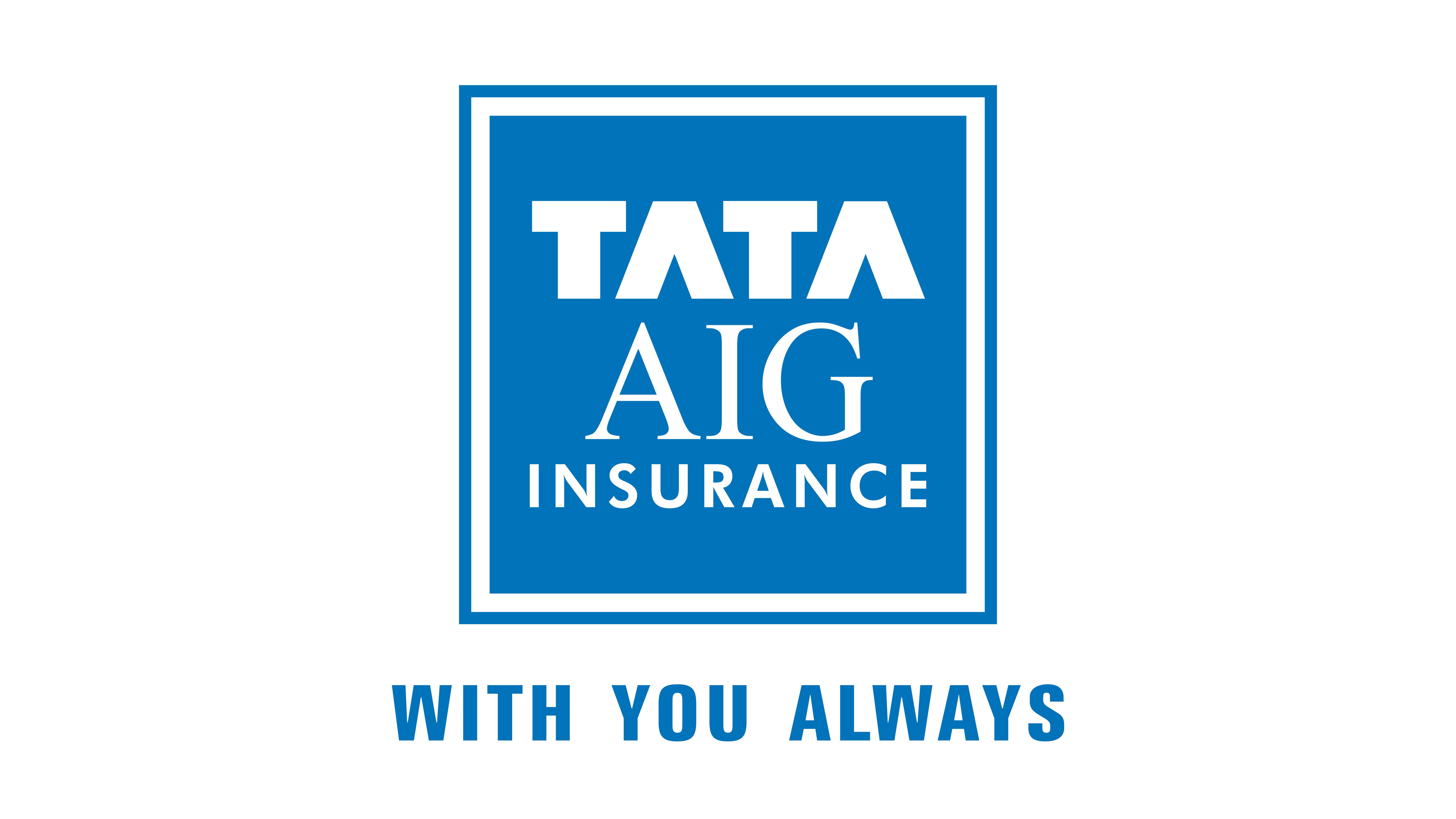 AIG Insurance Logo - Company