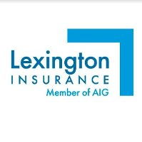 AIG Insurance Logo - Working at Lexington Insurance